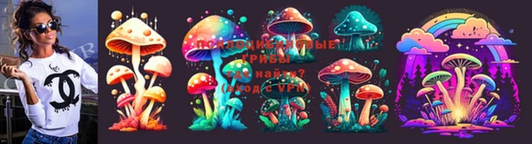 бошки Алзамай