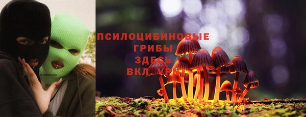 ECSTASY Алексин