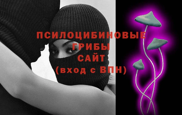 ECSTASY Алексин