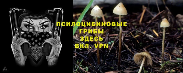 спиды Сатка