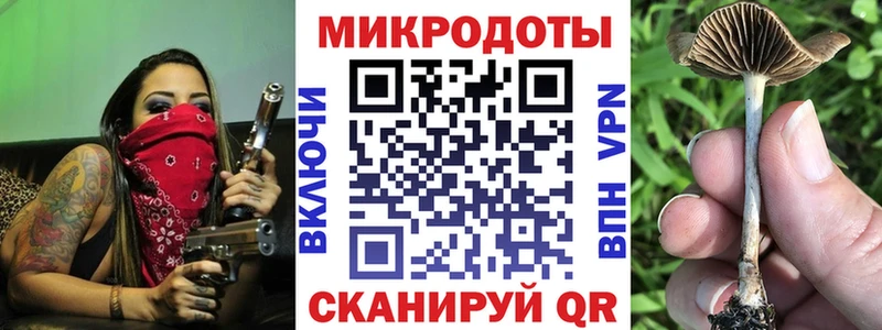 hydra как войти маркетплейс наркотические препараты Галлюциногенные грибы мицелий Завитинск